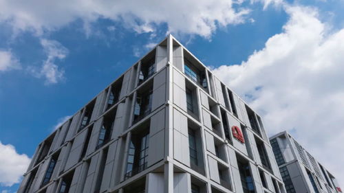 東方雨虹再度躋身2024全球建筑材料上市公司綜合實(shí)力排行榜，技術(shù)服務(wù)成核心競(jìng)爭(zhēng)力