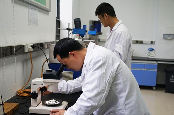 綿竹 搶占新質(zhì)生產(chǎn)力“新賽道”，以技術(shù)開(kāi)發(fā)驅(qū)動(dòng)高質(zhì)量發(fā)展加速度