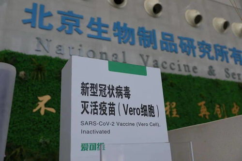 本土新增108例，防疫健康包與應對指南
